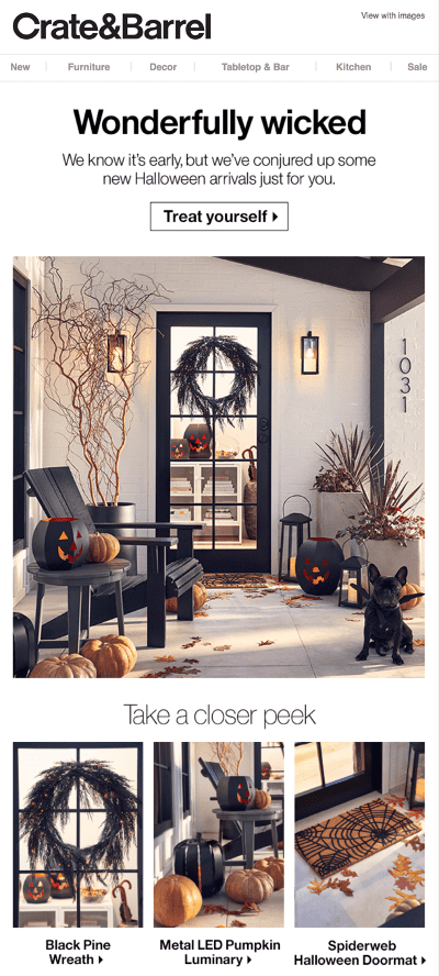 Crate & Barrel Halloween email in August