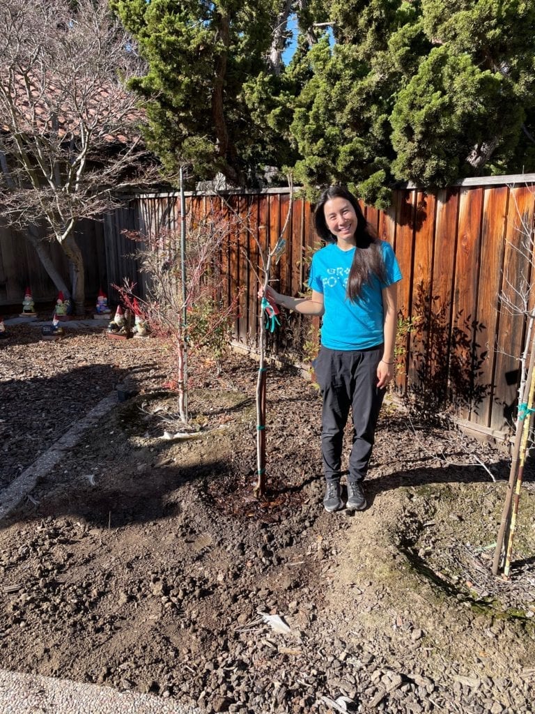 Jennifer Sue planting trees